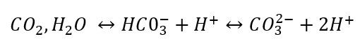 équation de l'équilibre acido-basique CO2