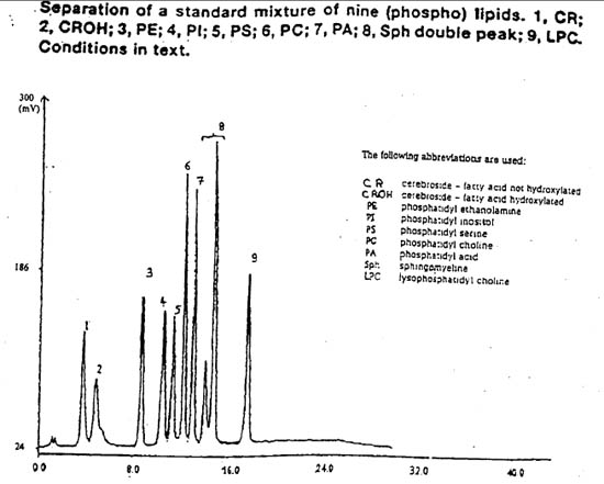 phospholipides