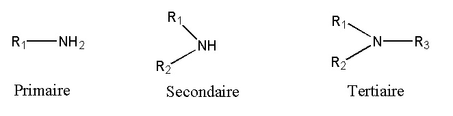Les amines