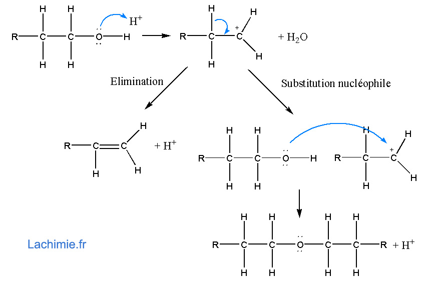Déshydratation  des alcools