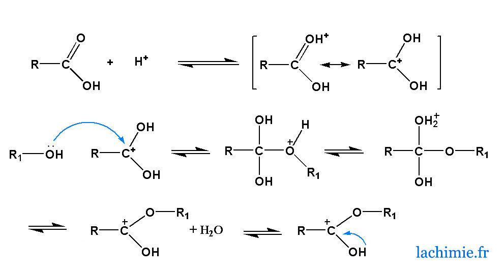 Mécanisme de l'estérification