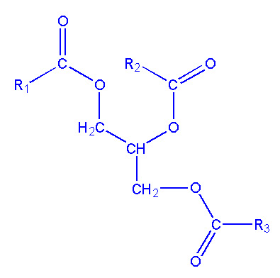 Triglycérides