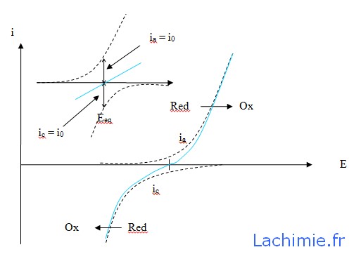 Graphe du courant d'échange